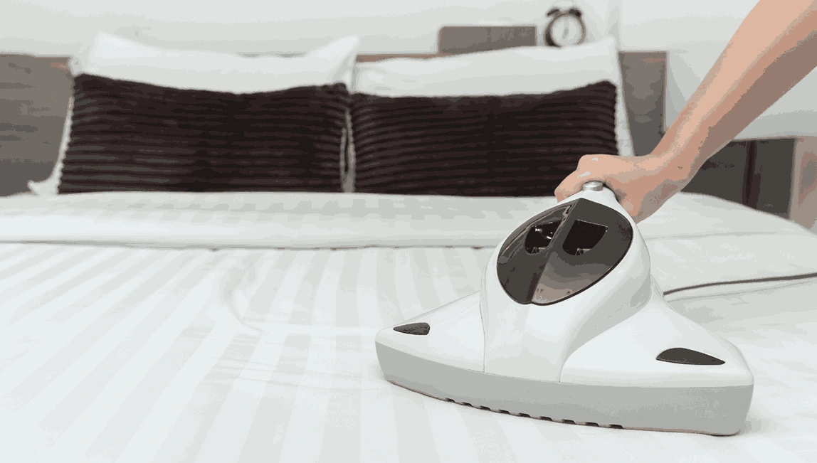 Professional Mattress Cleaning Golden Point